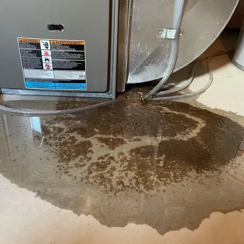 Appliance Leak Cleanup in Altamont, TN